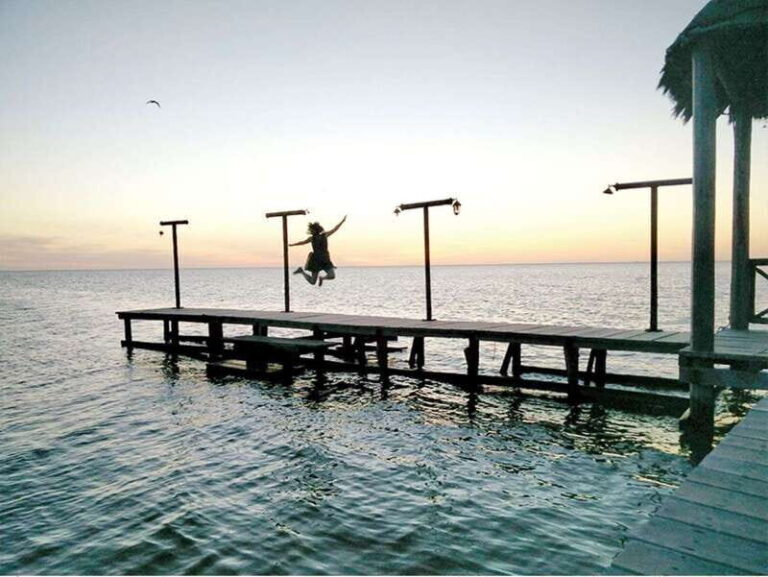 From Campeche: Flamingo Private Tour - Exploring the Details: What This Tour Offers