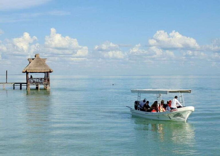 From Campeche: Isla Aguada Dolphin Encounter Tour - What the Reviews Say