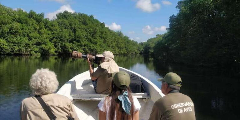 From Campeche: Mamantel River Tour - Practical Aspects and Value