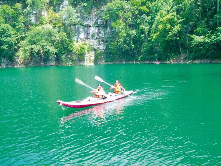 From Campeche: Miguel Colorado Cenotes Tour - Who Will Love This Tour?