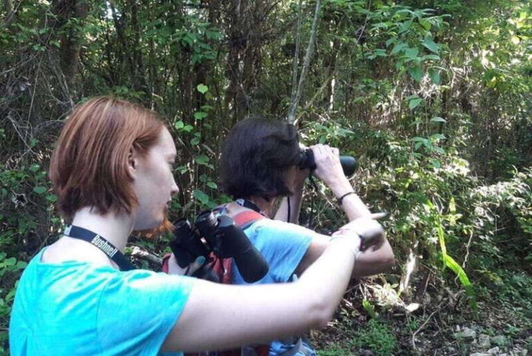From Cancun: Bird Watching Day Tour - The Experience: What Youll Actually See and Do