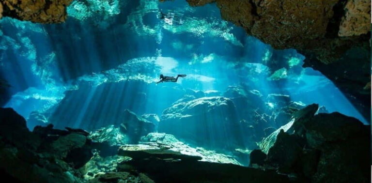 From Cancun: Chikin Ha Cenote Diving Experience - Who Will Love This Tour?
