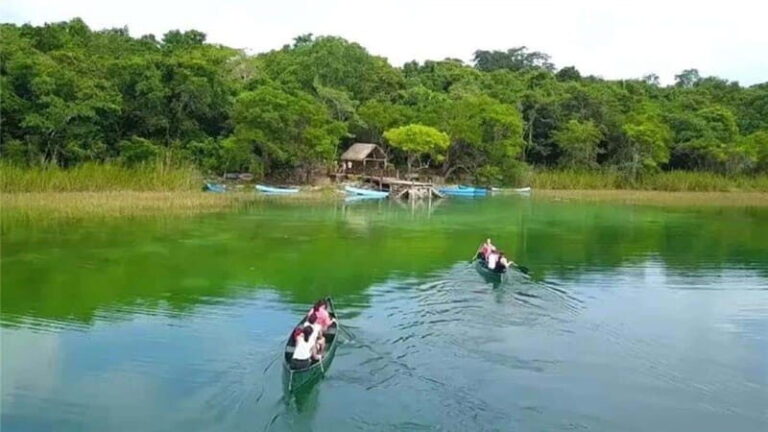 From Cancun: Coba Ruins and Punta Laguna Day Trip - Analyzing the Value