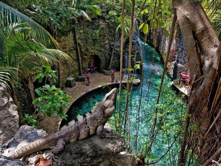 From Cancun: Complete Combo to Xcaret Park! - Who Is This Tour Best For?