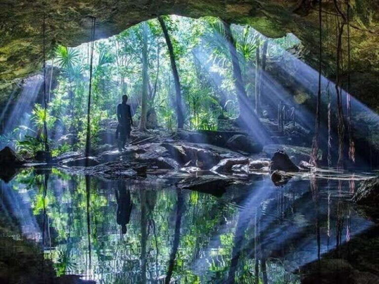From Cancun: Dos Ojos Cenote Diving Experience - What You Can Expect