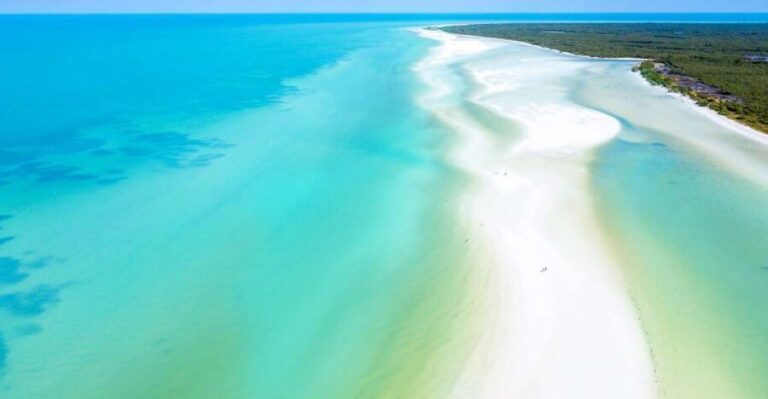 From Cancun or Puerto Morelos: Holbox Boat Tour with Lunch - A Detailed Look at the Tour Experience