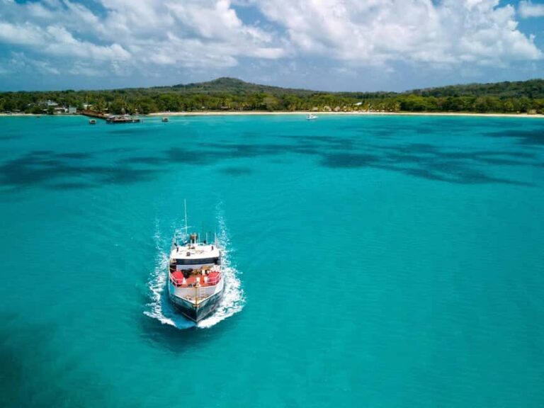 From Cancún: Premium Half-Day Catamaran Tour to Isla Mujeres - Practical Details and Insights