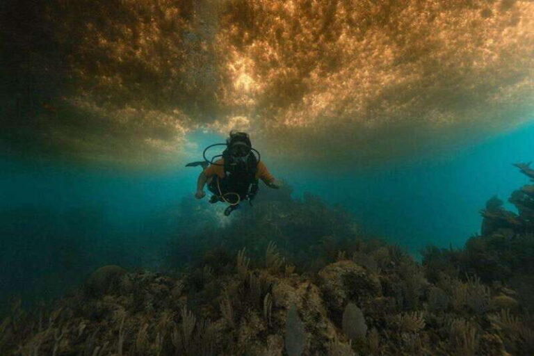 From Cancun: Puerto Morelos Diving Adventure - The Sum Up: Is It Worth It?