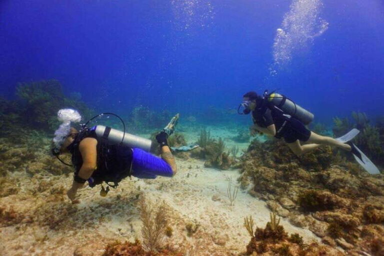 From Cancun: Shipwreck Dives Experience in Puerto Morelos - The Sum Up
