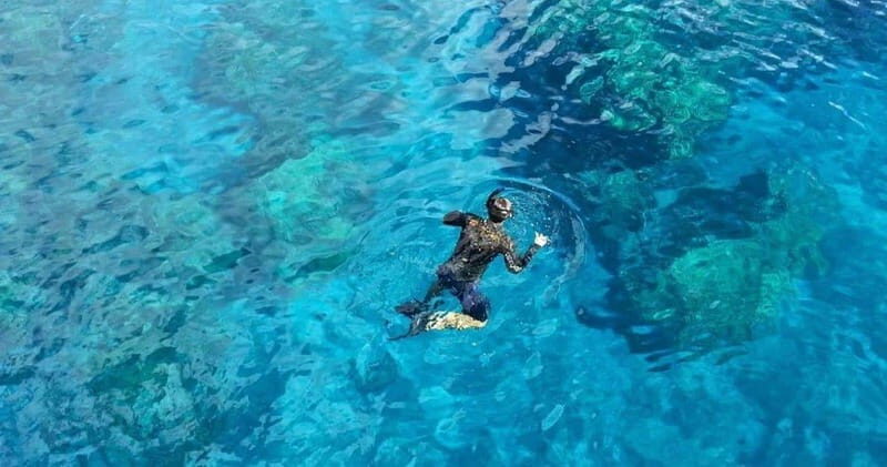 From Cancun: Snorkeling Cozumel Reefs - Who Should Book This Tour?
