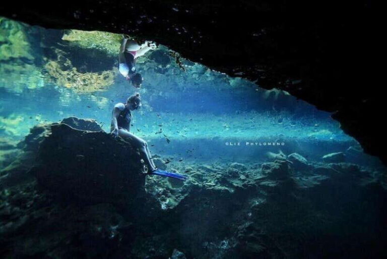 From Cancun: Snorkeling Cozumel The Heaven - The Value of This Experience