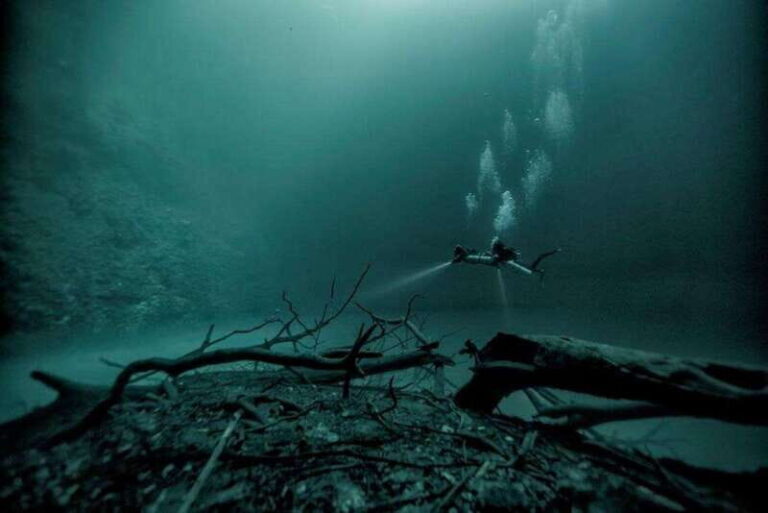 From Cancun: The Pit and Dos Ojos Cenote Diving Experience - Exploring the Itinerary: What to Expect