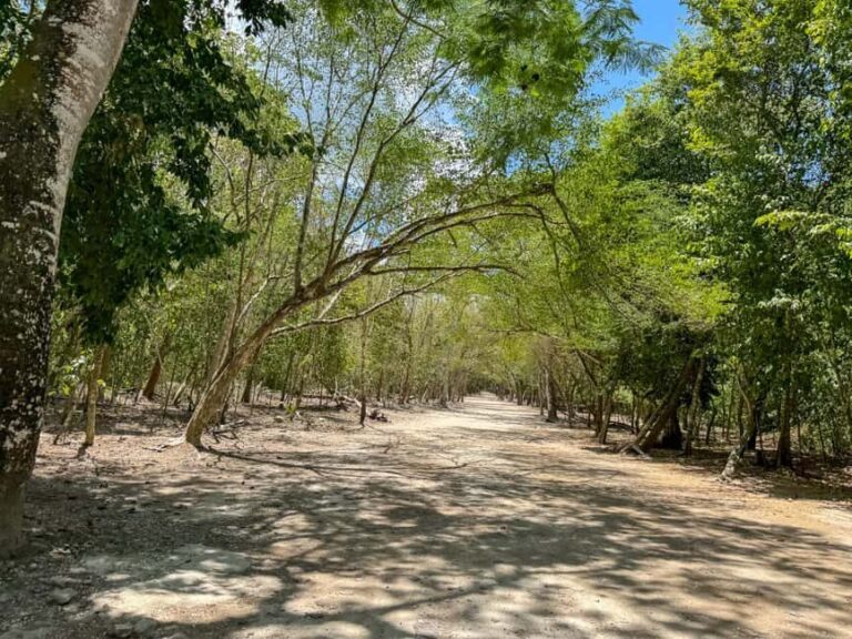 From Cancun: Tour to Tulum and Coba with cenote visit and lunch buffet - Practical Details and What They Mean for You