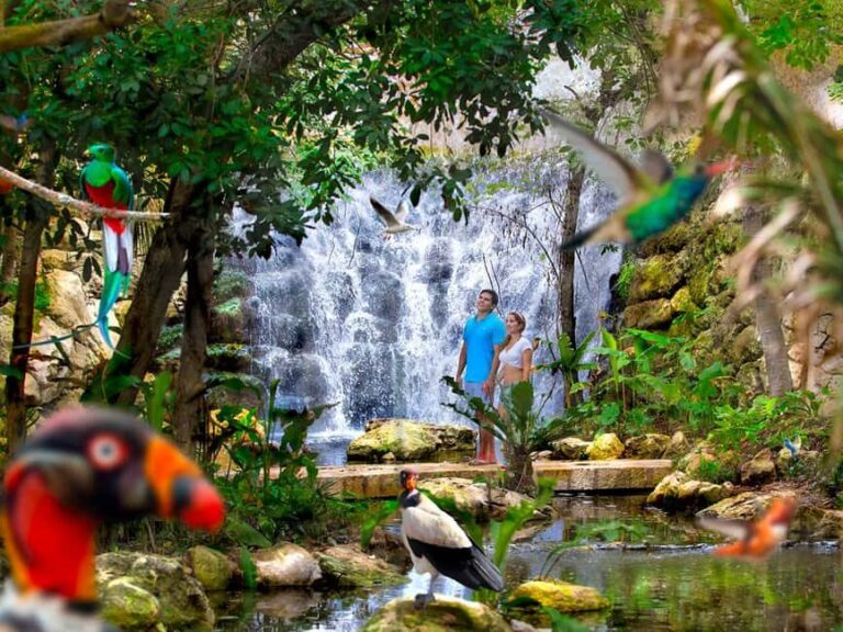 From Cancun: Xcaret Plus Park, the complete experience - The Itinerary Breakdown