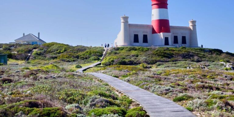 From Cape Town: 3-Day Garden Route Safari and Coastal Tour - What the Tour Offers in Terms of Value and Experience