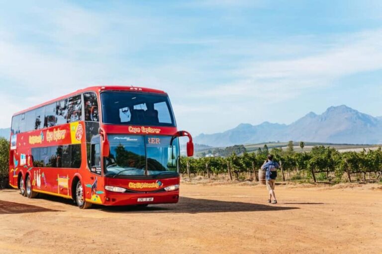 From Cape Town: 3 Regions Wine Tour with 3 Estates, 15 Wines - What Makes this Tour Stand Out?