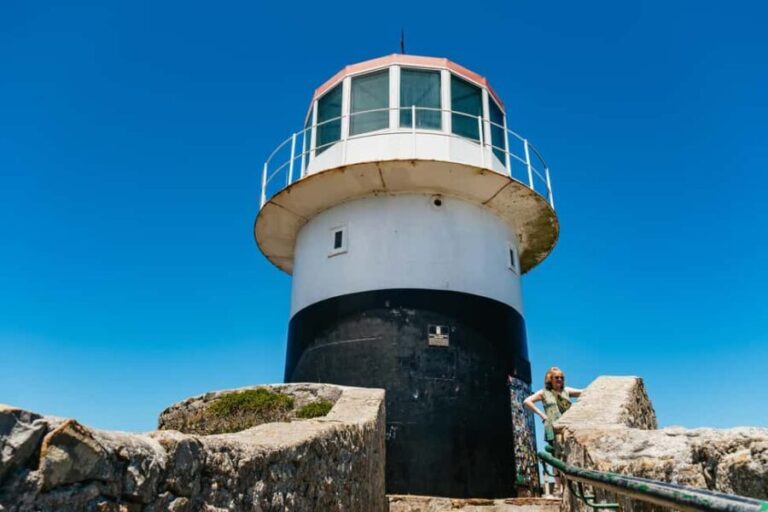 From Cape Town: Cape Peninsula & Boulders Penguin Beach Tour - Transport, Group Size, and Overall Value