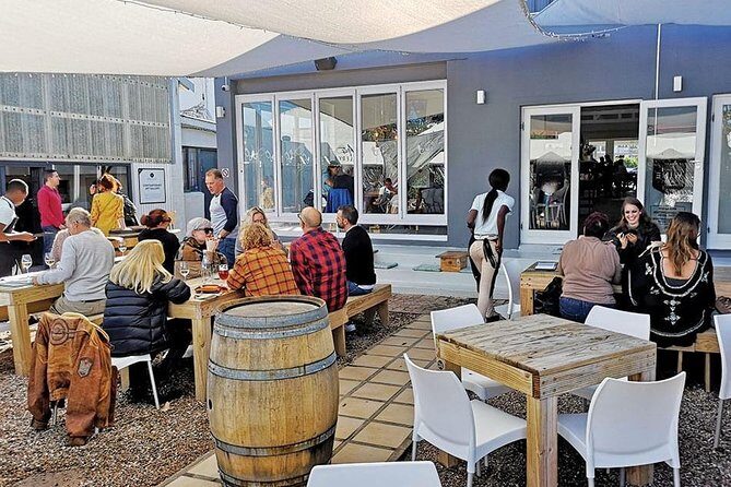 From Cape Town: Full Day Guided Hermanus and Whale Tour - Final Thoughts: Who Should Consider This Tour?