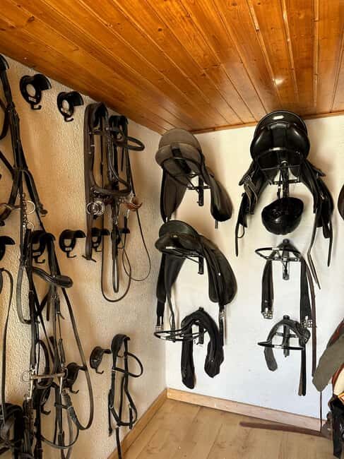 From Cape Town: Horseback Ride with Wine Picnic + Pick-Up - Who Will Love This Tour?