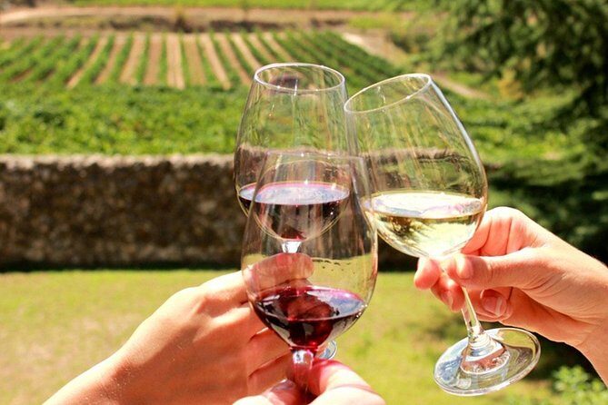 From CapeTown: Stellenbosch Half Day Wine Tour - Practical Tips for Future Travelers
