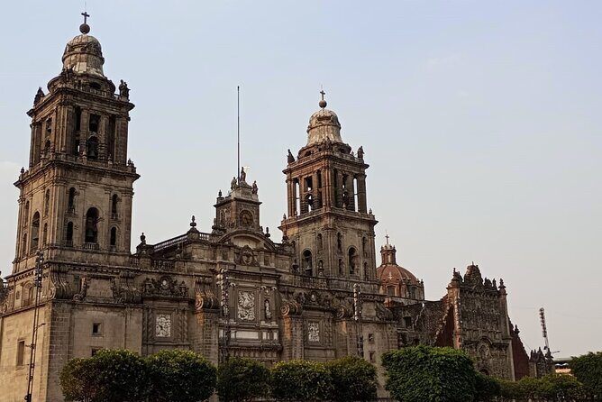From cdmx: Citywalking Private Tour by cdmx - What’s Included and What’s Not