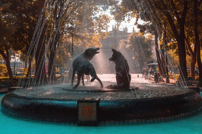 From cdmx: Tour in Coyoacan and Xochimilco all inclusive - Why This Tour Offers Solid Value