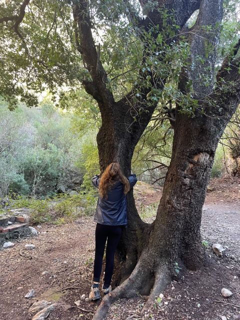 From Chefchaouen: Full Day Trip to Akchour Waterfalls - Practical Details and What to Pack