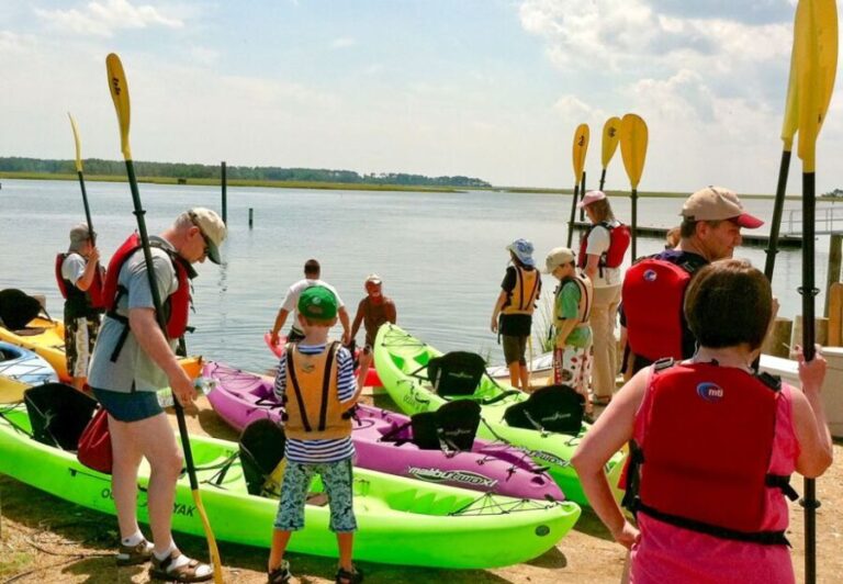 From Chincoteague: Guided Kayak Tour to Assateague Island - Final Thoughts