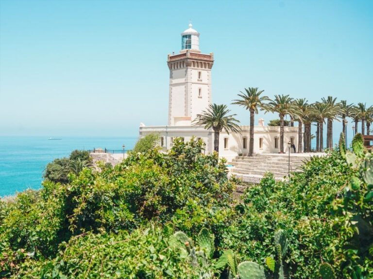 From Costa del Sol: Discover Tangier on a Guided Day Trip - Arrival and first impressions of Tangier