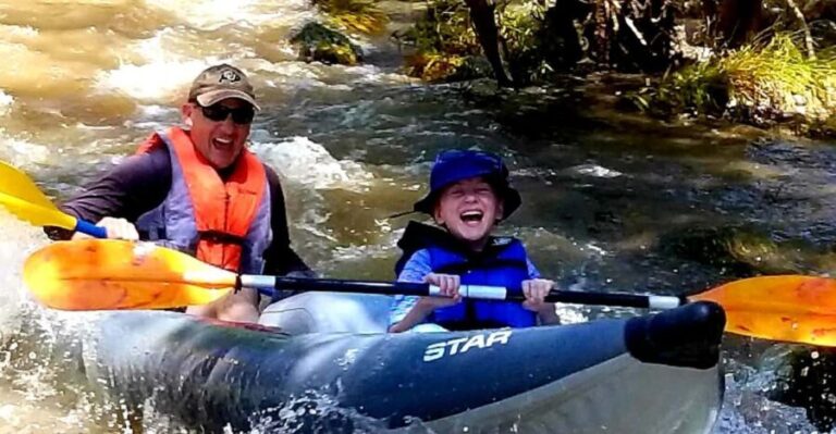 From Cottonwood: Guided Kayaking Tour on the Verde River - Why You’ll Love This Kayaking Tour