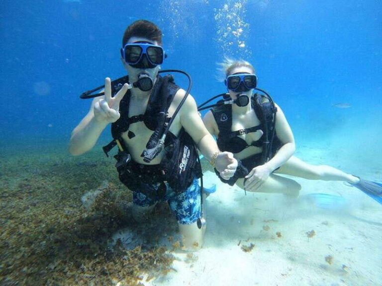 From Cozumel: Chankanaab Cozumel Scuba Diving - Who Should Consider This Tour?