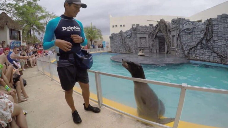 From Cozumel: Chankanaab Park Day pass with Open Bar & Lunch - How Does It Compare?