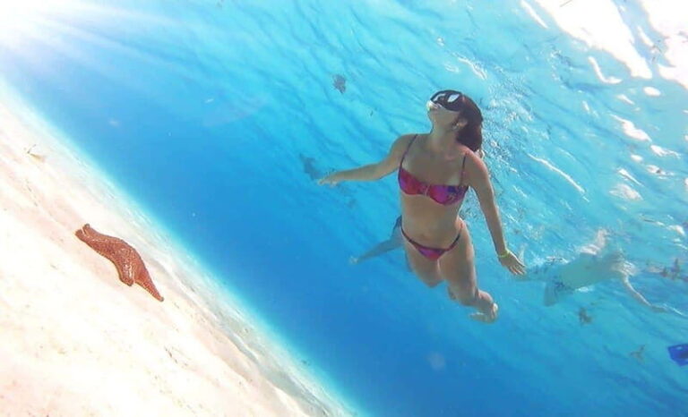 From Cozumel: El Cielo Beach by Catamaran Snorkeling Tour - Practical Tips for Travelers