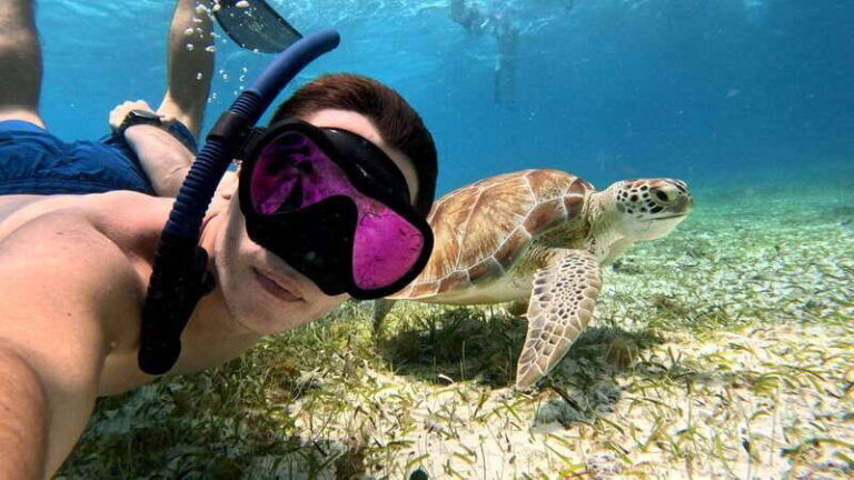 From Cozumel: Snorkel Private Charter to el Cielo & Cielito - The Speedboat Ride: A Quick 5-Minute Splash