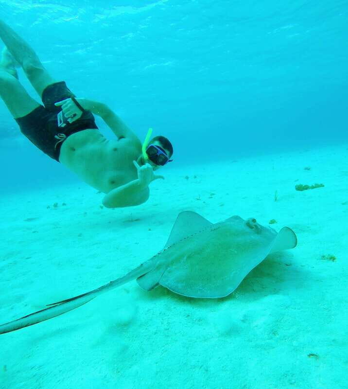 From Cozumel: Starfish, Stingrays and the Turtle Sanctuary - The Itinerary in Detail