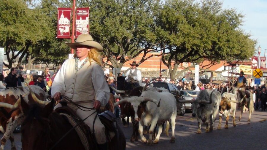 From Dallas: Fort Worth Guided Day Tour - Exploring the Stockyard Station