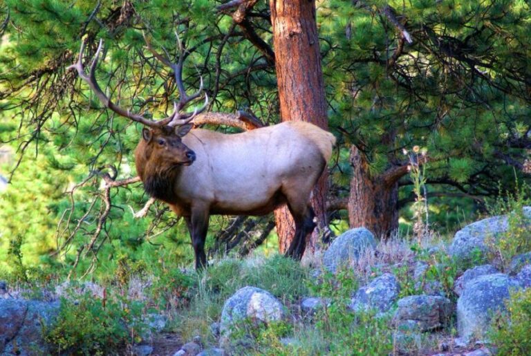 From Denver: Hike the Rockies Tour - What to Expect on the Hike