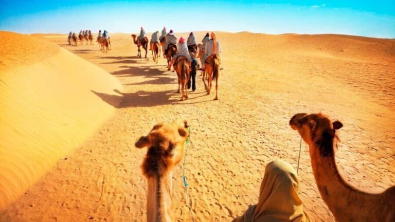 From Doha: Desert Safari Tour with Activities in Mesaieed - Authentic Traveler Experiences