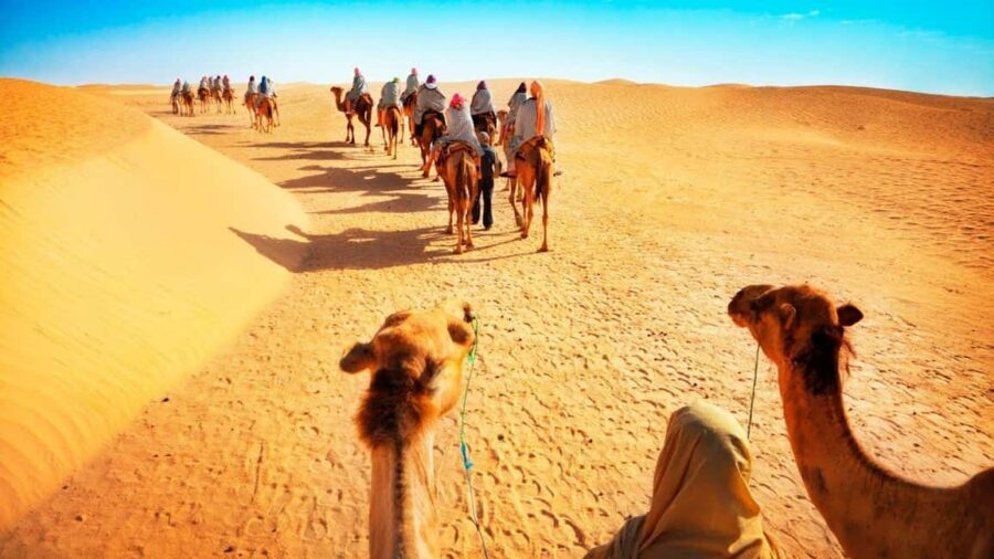 From Doha: Desert Safari Tour with Activities in Mesaieed