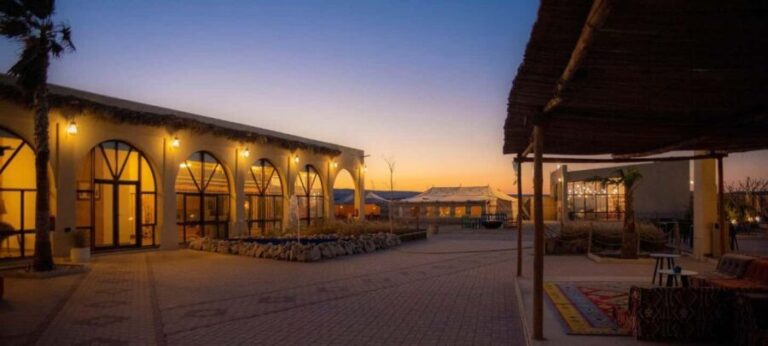 From Doha: Full-Day Desert Safari - Practical Details and Logistics