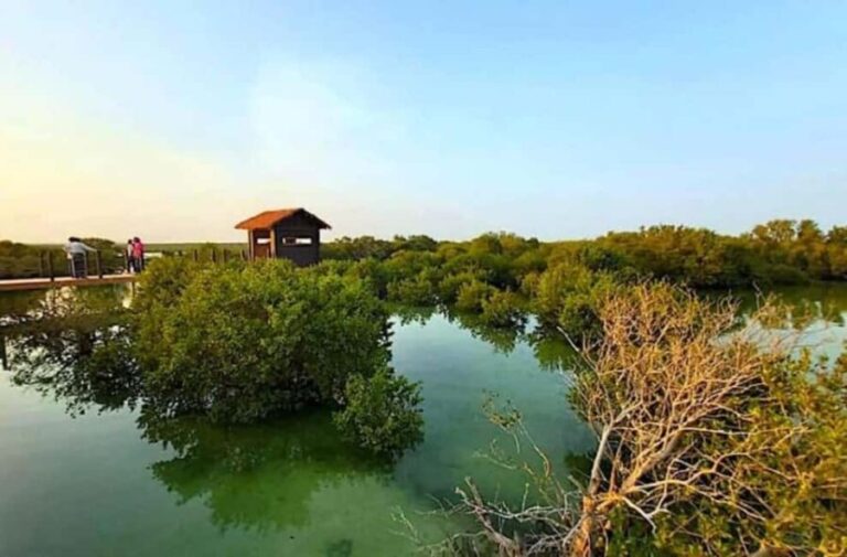 From Doha: Private Al Jassasiya, Zubarah & Purple Island. - Who Will Love This Tour?