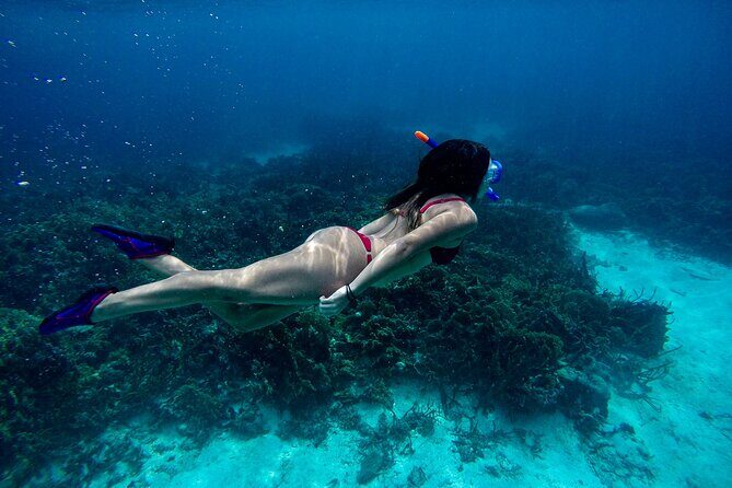 From Dubai: Discovery Scuba Diving & Snorkeling trip in Fujairah - The Itinerary in Detail