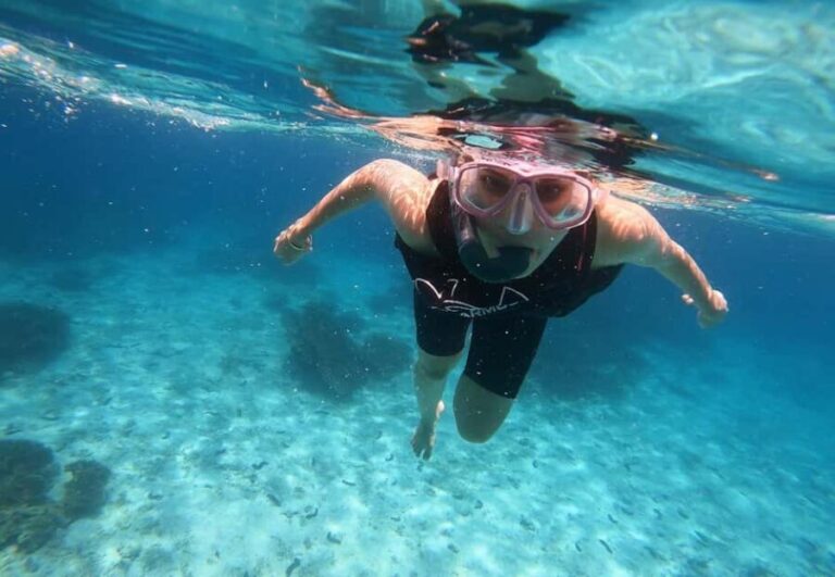 From Dubai: Fujairah Sea Turtles Snorkeling Tour with Lunch - What Makes This Tour Stand Out