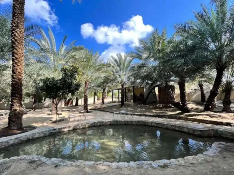 From Dubai: Hatta Sightseeing Tour with kayaking - Why This Tour Offers Good Value