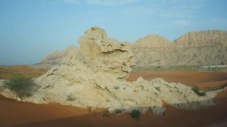 From Dubai: Private Dinner in the Dunes in Mleiha - Authenticity and Guest Feedback