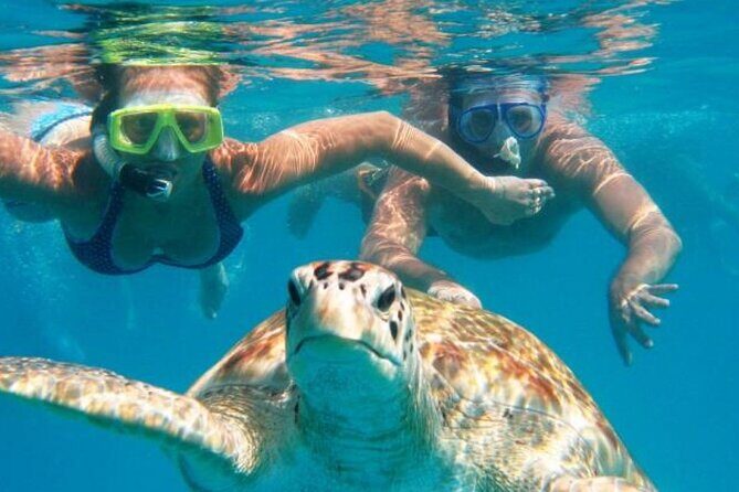 From Dubai: Snorkeling trip in Fujairah - Final Thoughts: Who Should Book This Tour?