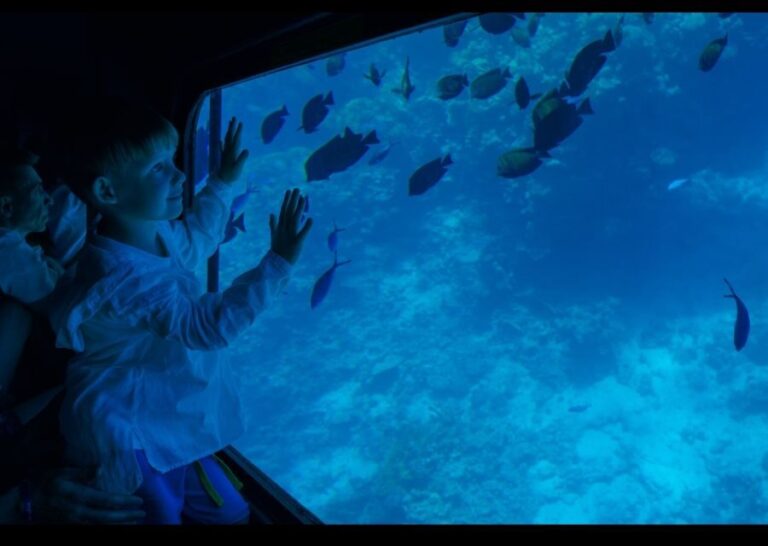 From El Gouna: Royal Seascope Submarine with Snorkel Stop - The Itinerary: What Makes Each Part Special