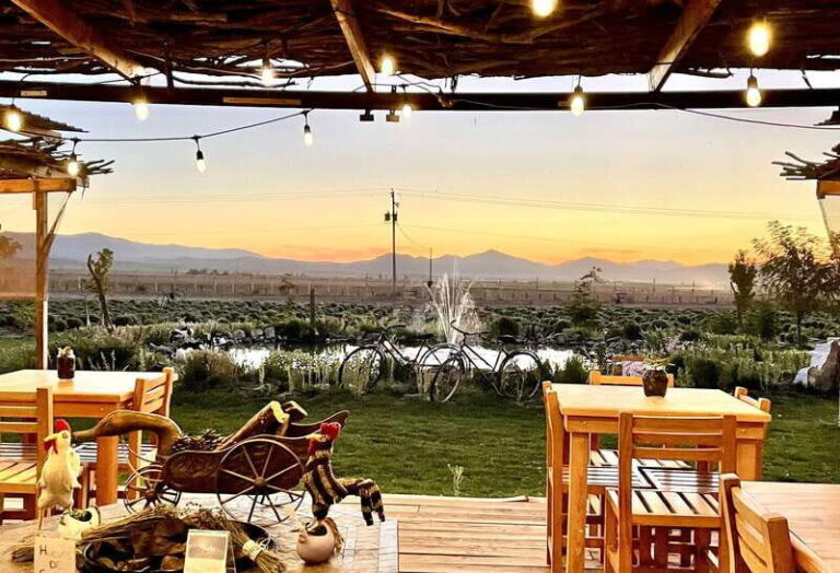 From Ensenada: Ojos Negros Valley Cheese & Wine Tasting Tour - Detailed Breakdown of the Itinerary