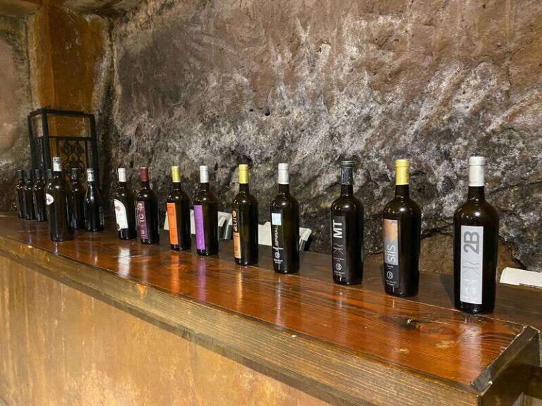 From Ensenada: Wine Tour at Guadalupe Valley Ensenada - Who Should Take This Tour?