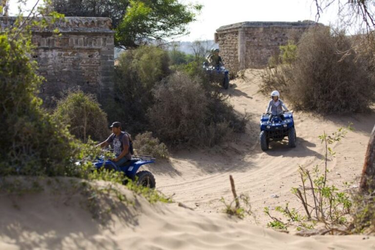 From Essaouira: Beachside Quad Bike Tour with Transfer - An In-Depth Look at the Quad Bike Coastal Adventure